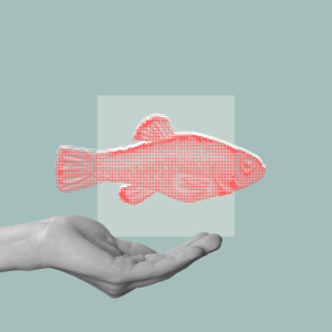 Focus Group | Welfare (R)evolution: attrarre, coinvolgere, valorizzare