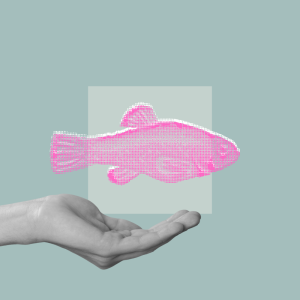 Webinar | Welfare Act: dalle idee all'azione